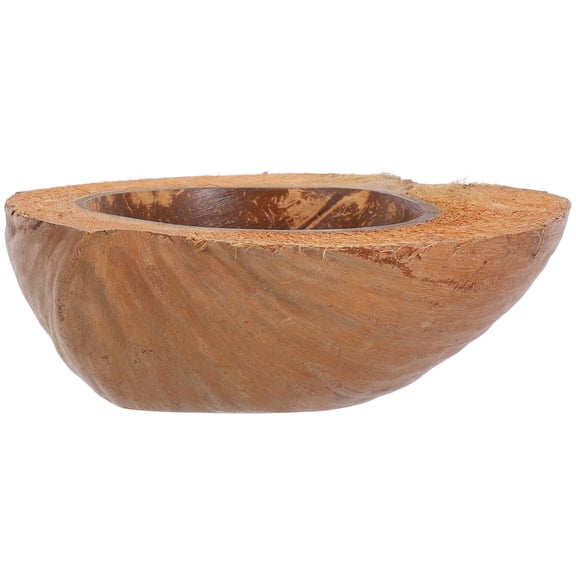 Homoyoyo Coconut Shell Salad Bowl, 1-Piece Fruit Serving Dish, Assorted Colors, Kitchen Tableware for Healthy Meals