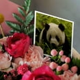 thumbnail image 3 of 3drose, Giant Panda Bears, Wolong China Conservation, China-as07 Pox0658 - Pete Oxford, 12 Greeting Cards with Envelopes, 3 of 7