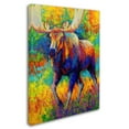 thumbnail image 2 of Trademark Fine Art 'Bull Moose' Canvas Art by Marion Rose, 2 of 3