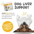 thumbnail image 2 of maxxiSAMe Advanced SAM-e Powder Supplement - Liver, Cognitive & Joint Support for Dogs, 5.3oz, 2 of 9