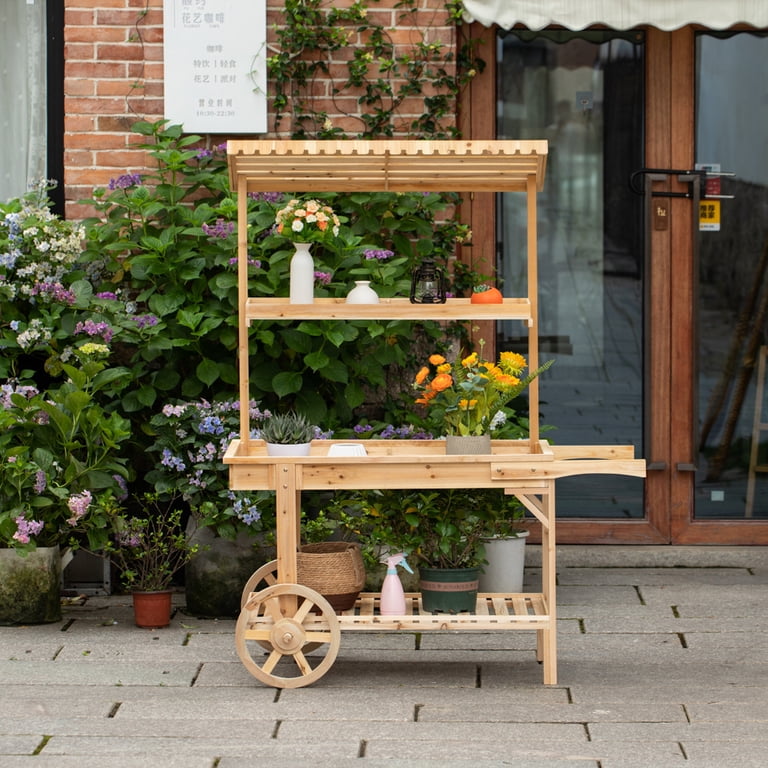 Vintiquewise Antique Solid Wood Decor Display Rack Cart, 52.5