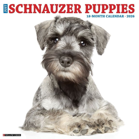 Willow Creek Press, Just Schnauzer Puppies 2026 Wall Calendar, 12'' X 12'', 18-Month Calendar with Stapled Binding