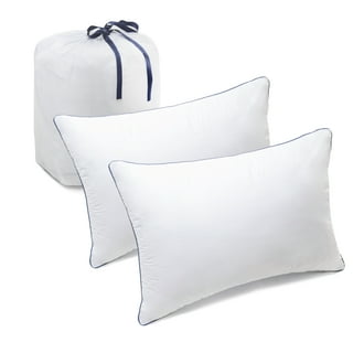 EDOW Throw Pillow Inserts, Set of 2 Lightweight Down Alternative Polyester  Pillow, Couch Cushion, Sham Stuffer, Machine Washable. (White, 18x18)