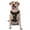 With Accessories, variant on Vsdgher Lgbt Rainbow For Pride Pattern Dog Harness,No Pull Pet Harness with Soft Padded Handle,Adjustable Reflective Vest with 2 Buckles,4 Slide Buckles,S-XL X-Large