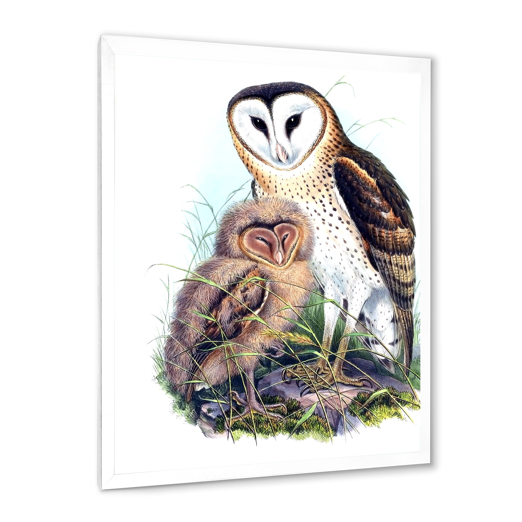 Designart 'Ancient Birds I' Traditional Framed Art Print