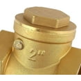 Widely Utilized Brass Swing Check Valve, Ensuring Safe And Efficient ...