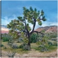thumbnail image 1 of Cuadro Decorativo - Árbol de Joshua Jr Impresión en canvas, estrechado, 1 of 2