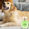 thumbnail image 5 of KMWGRE Pet Perfume Floral Scented Spray for Dogs and Cats High Appearance Grooming Care 50ml Green 10cm, 5 of 5