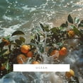thumbnail image 2 of Cartucho de fragancia ScentAir Monthly para Whisper Home Ocean, 2 of 7
