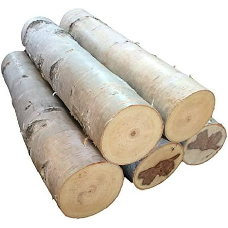 

Large Birch Fireplace Log Set Of Five