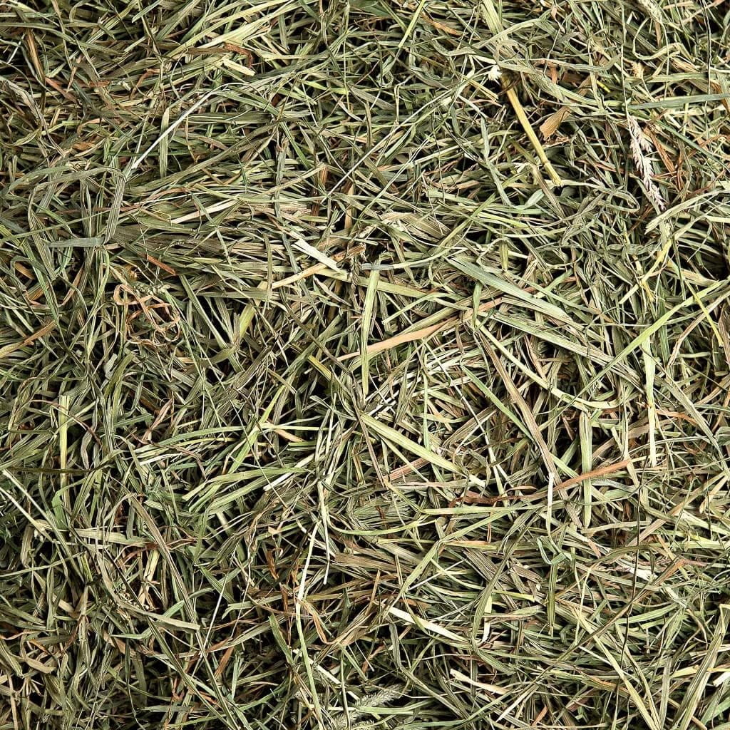 Small Pet Select 3rd Cutting "Super Soft" Timothy Hay Pet Food, 20 Lb.