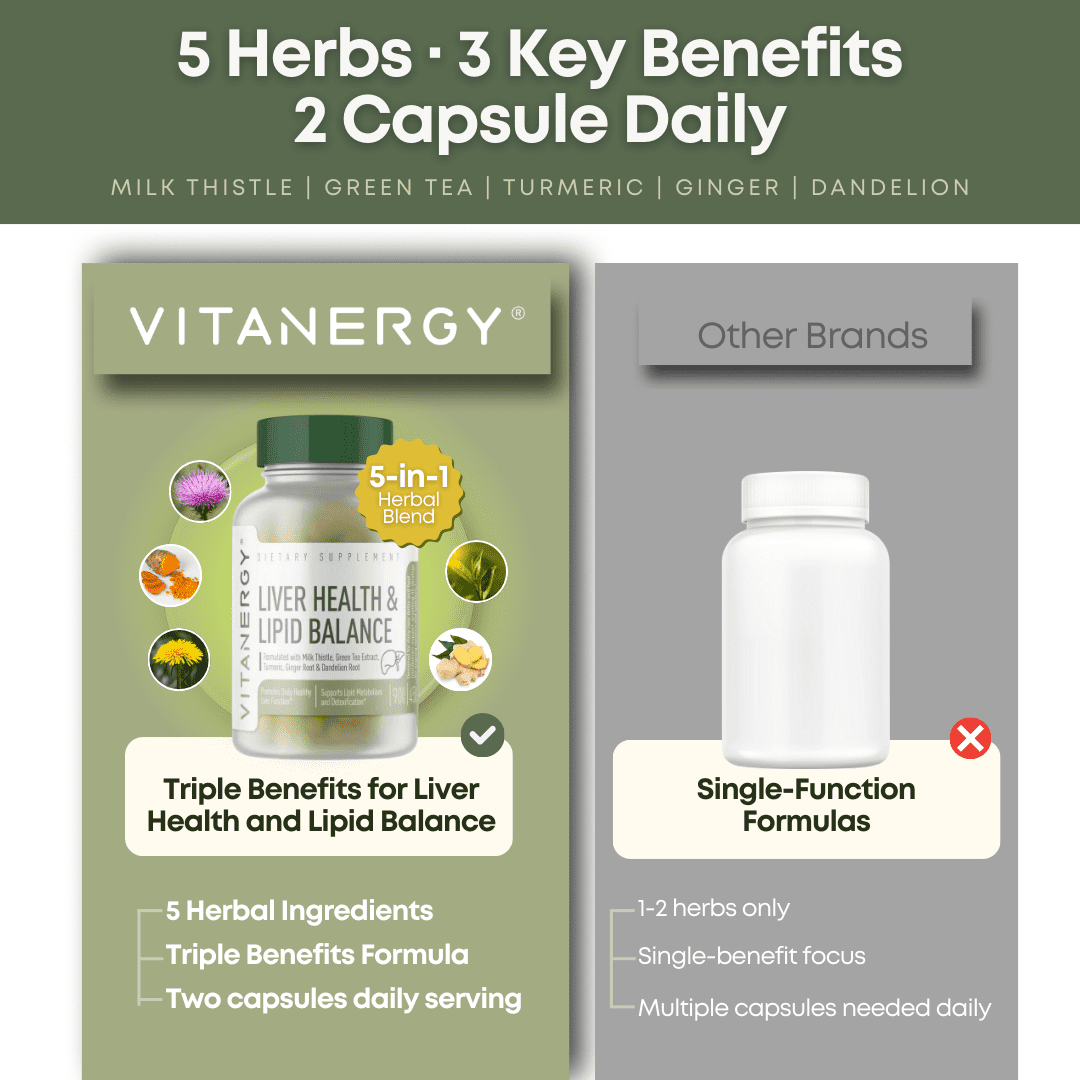 Vitanergy Liver Health & Lipid Balance – Milk Thistle, Green Tea, Turmeric, Ginger & Dandelion Root Extracts – Supports Normal Liver Function & Healthy Fat Metabolism – Made in USA, 90 Capsules