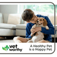 thumbnail image 3 of Vet Worthy Potty Rocks for Dogs - Paramagnetic Igneous Dog Rocks Mined in USA - Dog Urine Neutralizer for Lawn - Helps Filter Out Impurities, Keeps Green Grass & Dog Pee Odor Eliminator - 8.8 oz, 3 of 8