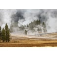thumbnail image 2 of Jones, Adam 24x17 Black Ornate Wood Framed with Double Matting Museum Art Print Titled - Grasses and mist in autumn meadow-Upper Geyser Basin-Yellowstone National Park-Wyoming, 2 of 4