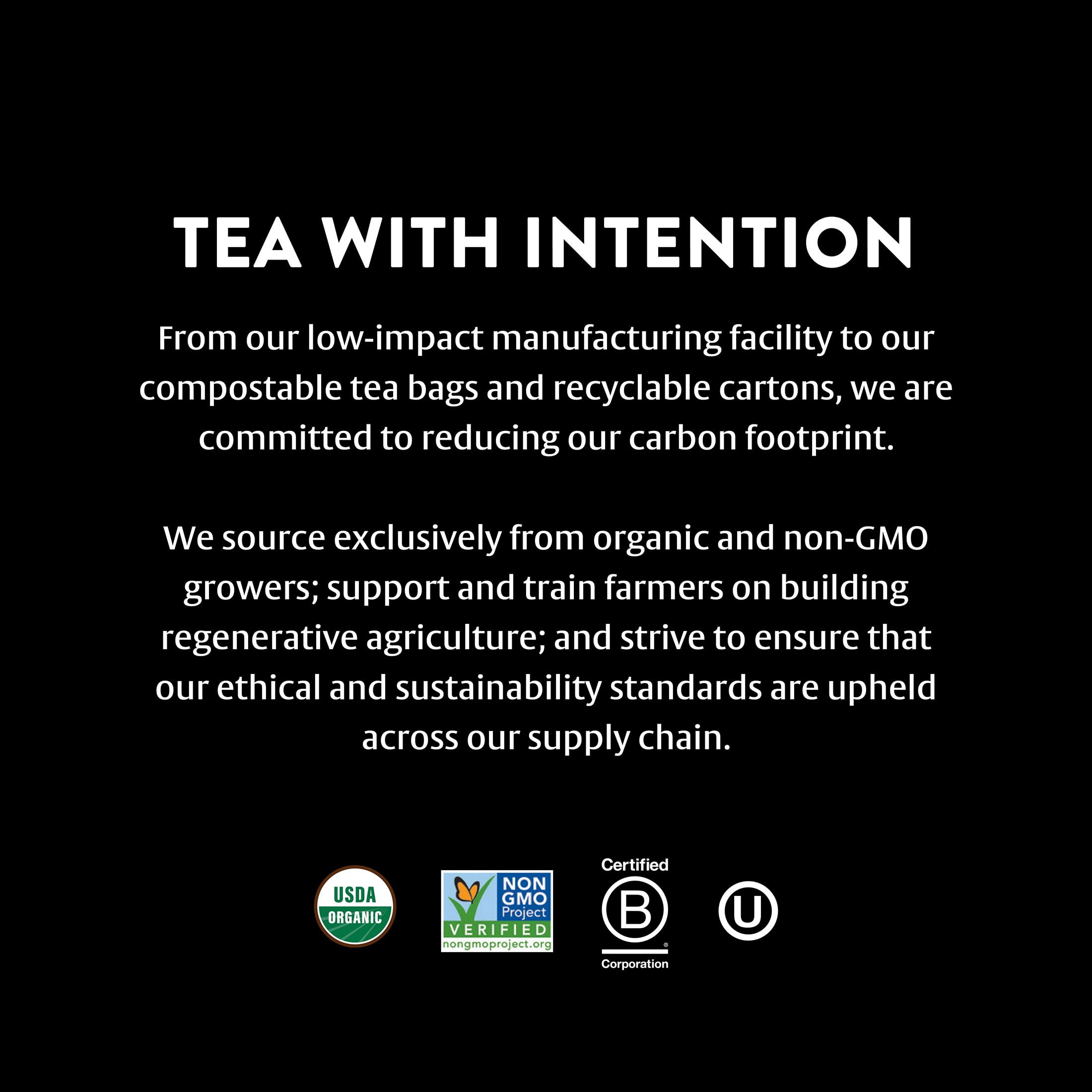 Choice Organics Apple Mate Tea, Contains Caffeine, Yerba Mate Tea Bags, 6 Boxes of 16