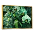 thumbnail image 2 of Designart "Dreamscapes Of Green Orchid Fantasy I" Orchids Floater Framed Canvas Prints, 2 of 5