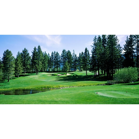 Biggies Golf Murals - Edgewood Tahoe - Extra Large
