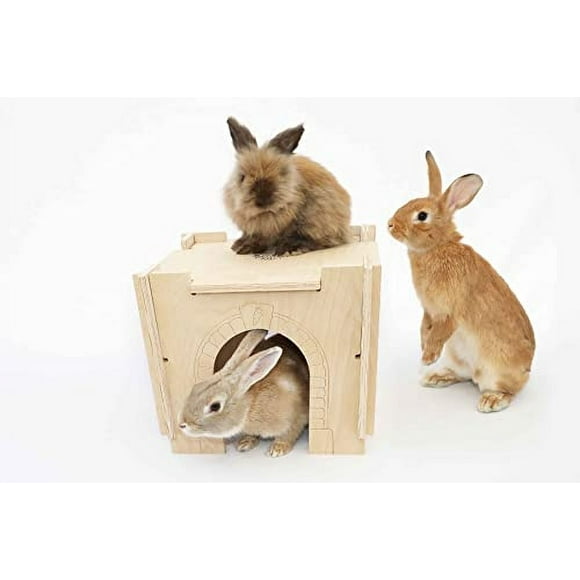 Small Pet Select - Cachette d'Habitat - Château - Moyen, Lapins, Cochons d'Inde, Autres Petits Animaux