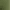 Dusky Green, variant on Justice Girl's Core Legging, Sizes XS - XLP