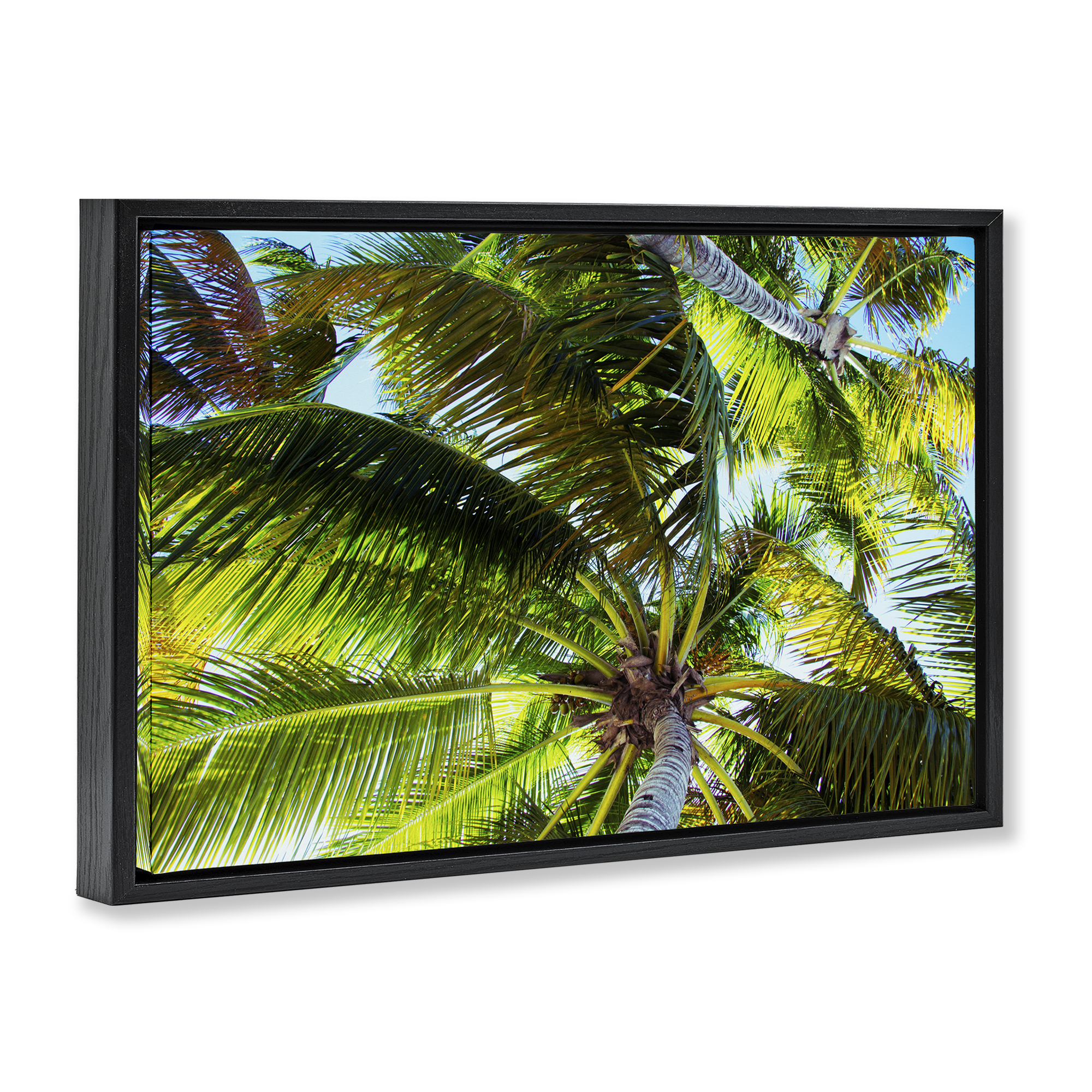 Stupell Industries Swaying Palm Leaves Botanical & Floral Photography Black Floater Framed Canvas Art Print Wall Art, 25 x 17