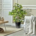 thumbnail image 3 of LCG Florals Artificial Tree, Ficus Tree, 4 ft, Black Metal Planter, 3 of 8