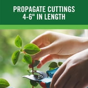 RootBoost Rooting Hormone, Rooting Powder for Plant Cuttings, 2 Ounces