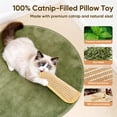 thumbnail image 3 of Juego de 2 cojines para gatos PetZen Garden, sisal, hierba gatera, 3 of 6
