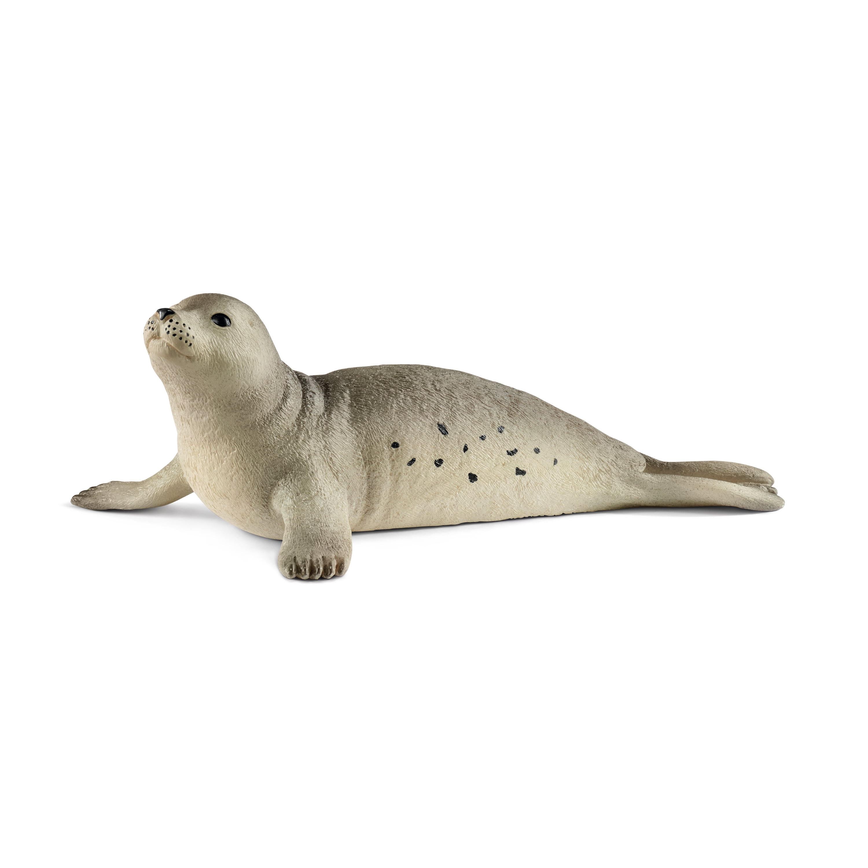 Schleich Wild Life - 5PC Arctic Animal Toy Playset with Reindeer, Polar Bear, Penguin, Seal and Arctic Fox Figurines – Realistic Animal Figures for Kids Ages 3+