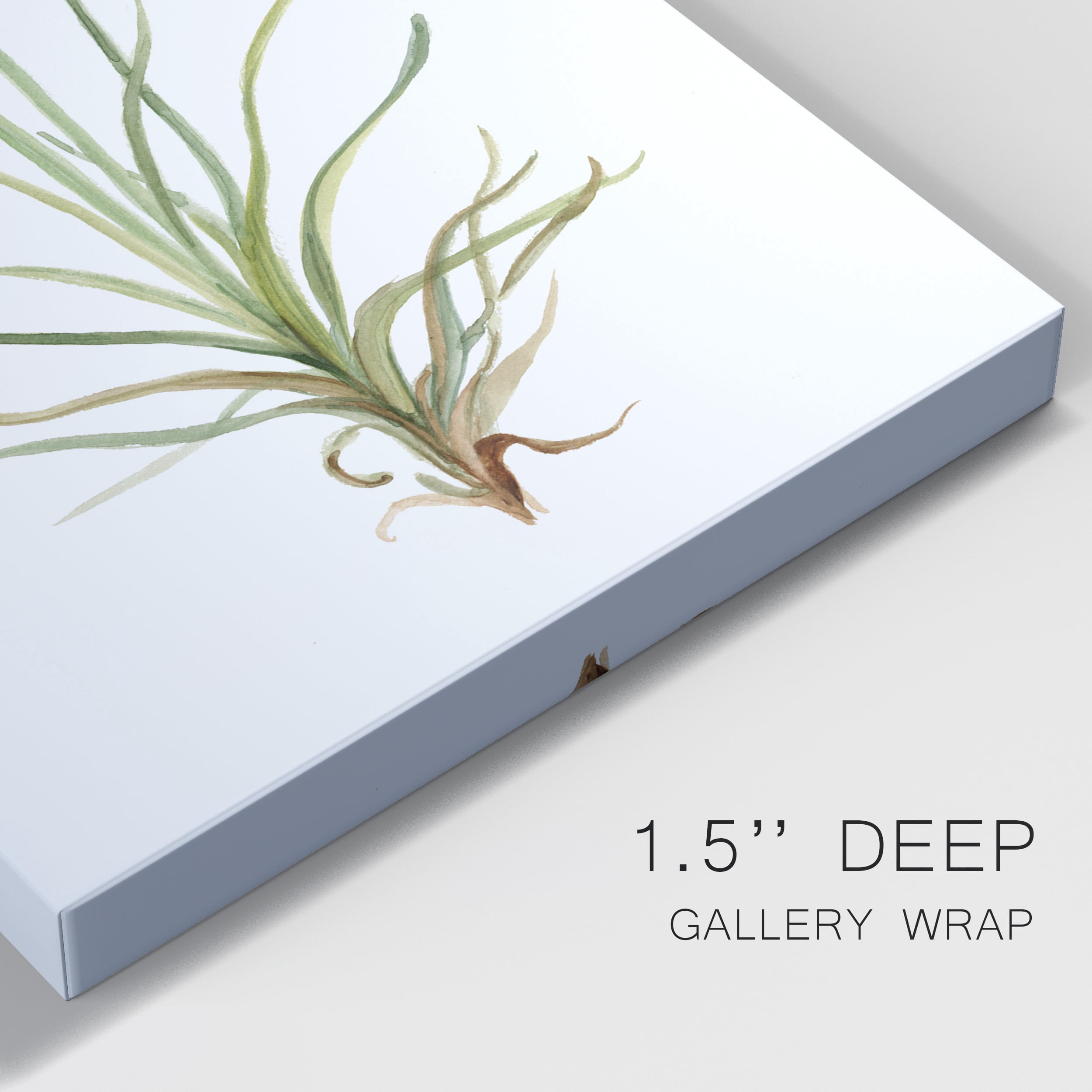 Wildflower Botanical III Premium Gallery Wrapped Canvas - Ready to Hang - 12 x 18