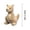 B, variant on Hvmvliv Stuffed Plush Toys Realistic Kangaroo with Joey Plush Toy Set Soft Stuffed Animals Lifelike Design for Imaginative Play Nature Education Home Decor Collectible Gift A