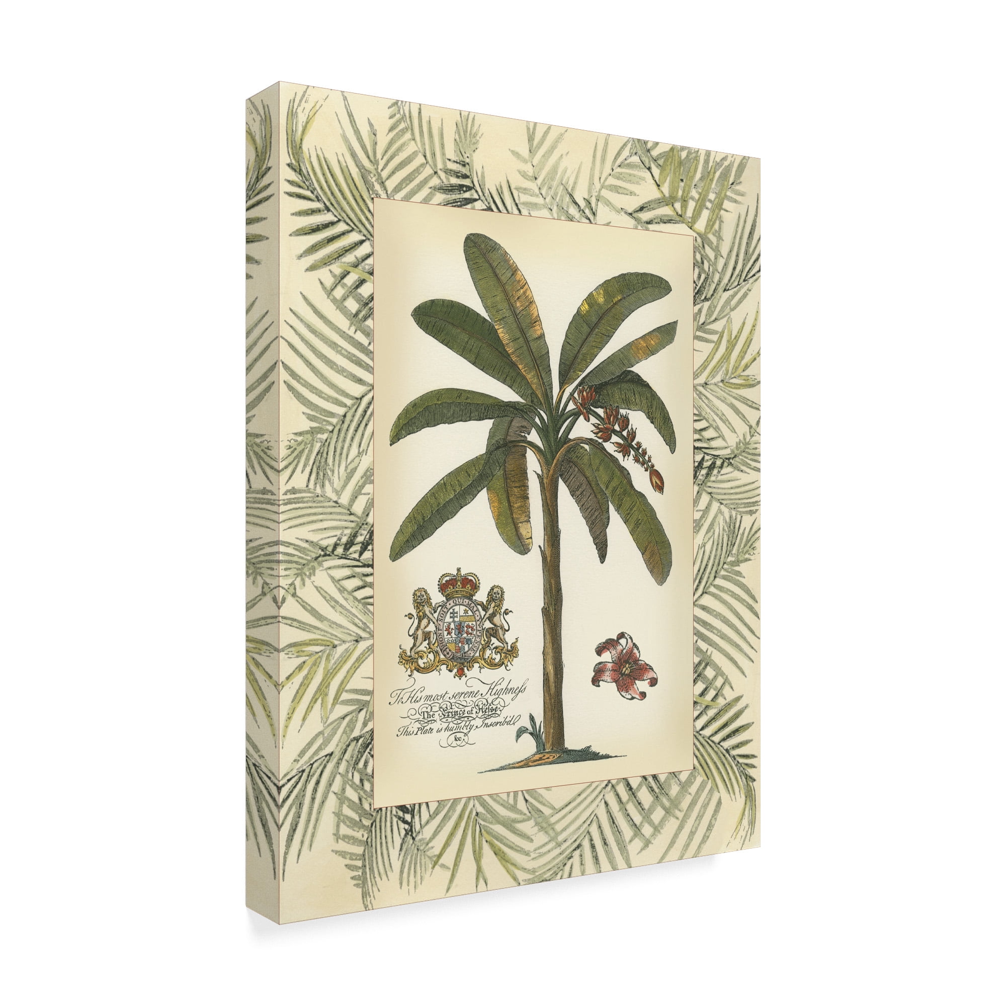 Trademark Fine Art 'Palm in Bamboo Frame II' Canvas Art by Vision Studio
