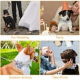 thumbnail image 4 of Flower Dog Collar Adjustable Small Medium Large Cute Girl Female Summer Spring Pretty Puppy Essentials Accessories, 4 of 21