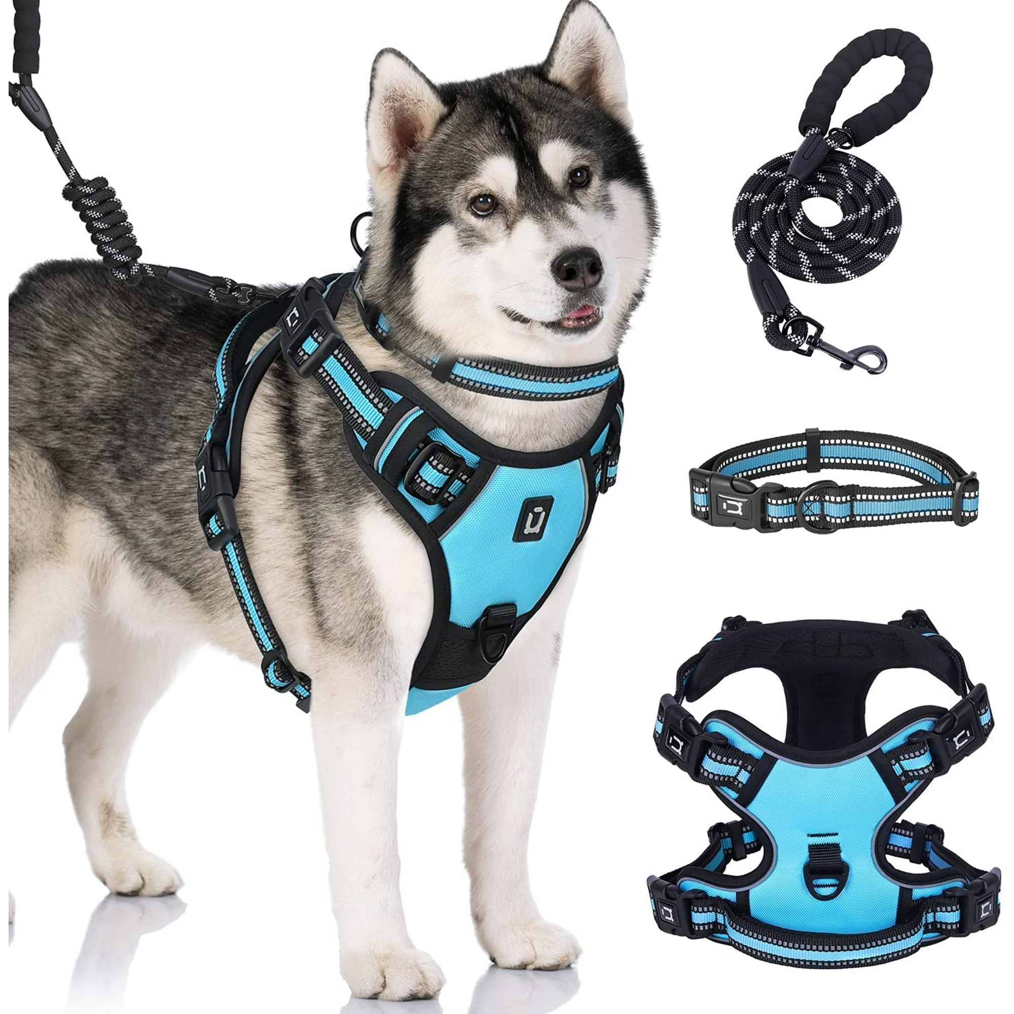 Can Dogs Get Out Of Harness