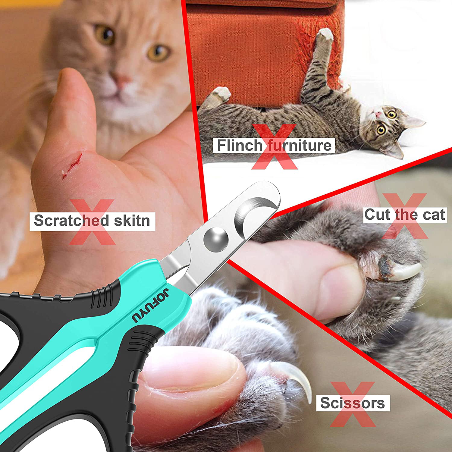A Training Guide to Cat Nail Trims: Front Paws - Cat School