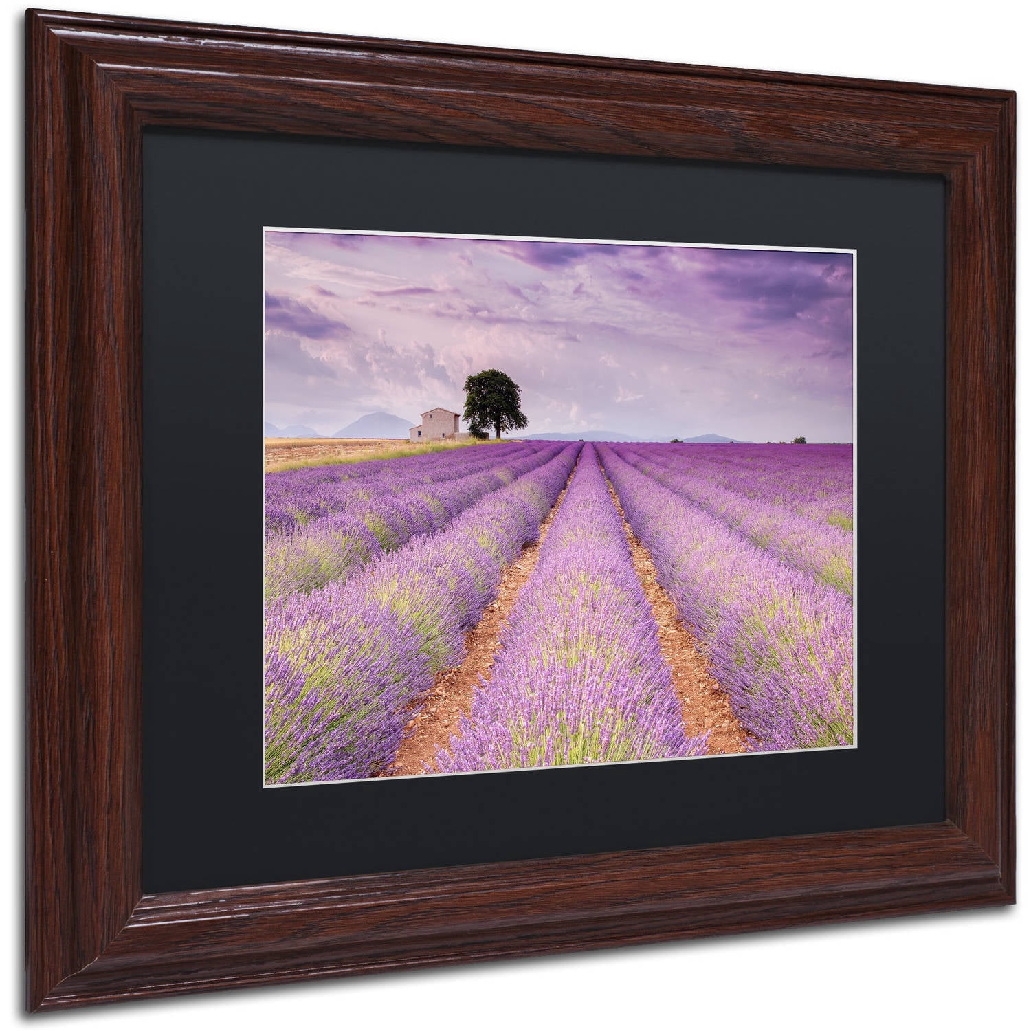 Trademark Fine Art 'Stone House' Canvas Art by Michael Blanchette Photography, Black Matte, Wood Frame