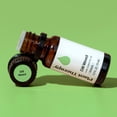 thumbnail image 6 of Plant Therapy Dill Weed  Essential Oil 10 mL (1/3 oz) 100% Pure, Undiluted, Natural Aromatherapy, 6 of 8
