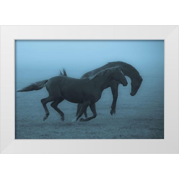 Wallberg, Allan 24x17 White Modern Wood Framed Museum Art Print Titled - Horses in the Fog