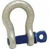 1-1/2" Nominal Chain Size, 17 Ton Carbon Steel Screw Anchor Shackle