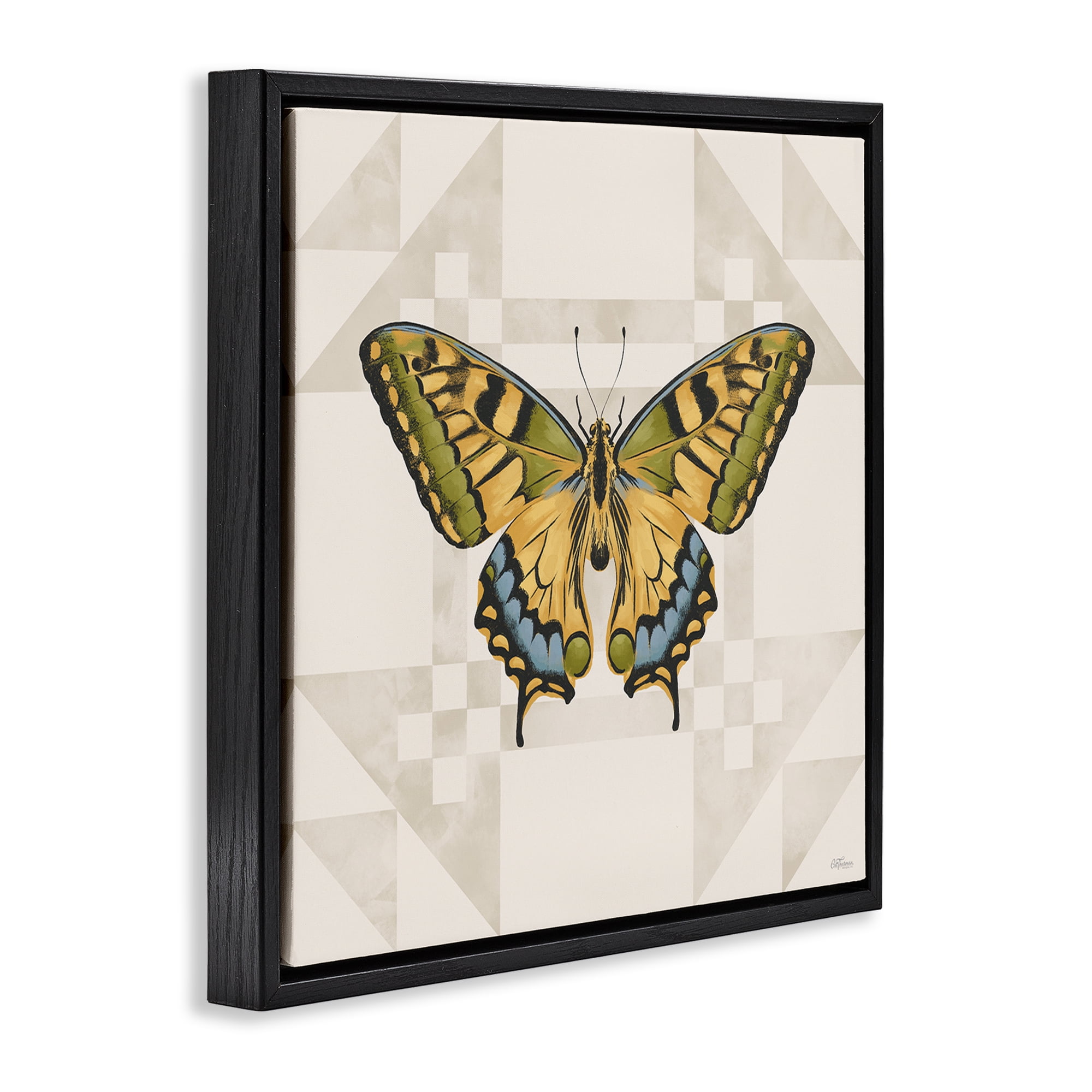 Stupell Industries Green Swallowtail Butterfly Black Framed Floater Canvas Wall Art, design by Cat Thurman Designs