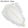 thumbnail image 2 of 5/10/25Pcs Soft Ostrich Feathers Plumes Costumes Party Home Wedding Decoration, 2 of 10