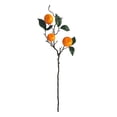 thumbnail image 2 of Fruits de Simulation - Trois oranges Artificielles, 2 of 13