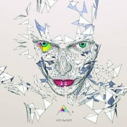 Aa - Voyaager - Electronica - Vinyl