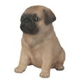 thumbnail image 4 of Pacific Giftware Adorable Seated Pug Puppy Collectible Figurine Amazing Dog Likeness Hand Painted Resin 6.5 inch Figurine Great for Dog Lovers Tabletop Decor, 4 of 4
