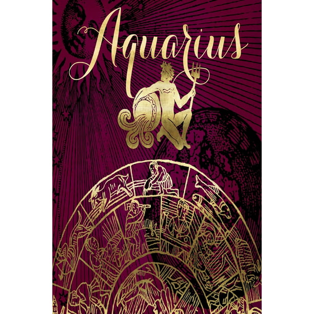 2020 Daily Planner Aquarius Symbol Astrology Wheel Zodiac Horoscope 388