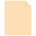 thumbnail image 2 of Astrobrights Premium Color Paper, 8-1/2 x 11 Inches, Punchy Peach, 500 Sheets, 2 of 3