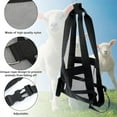 thumbnail image 3 of Calf Sling for Weighing Animals - Adjustable Straps - Animal Carrier Sling - Baby Scales for Calves, Lambs, Goats, Alpacas, Dogs, Pigs, 3 of 5