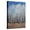 Canvas, variant on Art.com Cobalt Birches II Art Print by Tim OToole, White Frame Wall Art, 23" x 29"