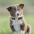 thumbnail image 4 of Colored Velvet Cat Collar Optional Tie Customized Engraved Collar for Small and Large Cats (light Gold Buckle), 4 of 6