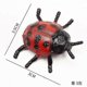 thumbnail image 3 of 26-27 5pcs New Pattern Plastic Pvc Simulation Small Insect Beetle Ladybug Model Frightening Persecute Others Toys Gift, 3 of 5