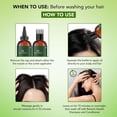 thumbnail image 3 of Botanic Hearth 100% Pure Tea Tree Oil For Hair Growth | Infused with Jojoba & Grapeseed Oils | Hair Oil Repairs Dry Damaged Hair, Strengthening, Healthier - Hair Tonic, 4.0 fl oz, 3 of 8